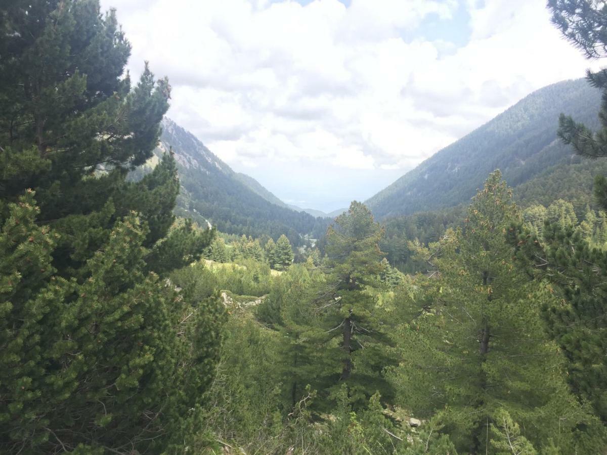 Belvedere holiday 4* Bansko Eksteriør billede